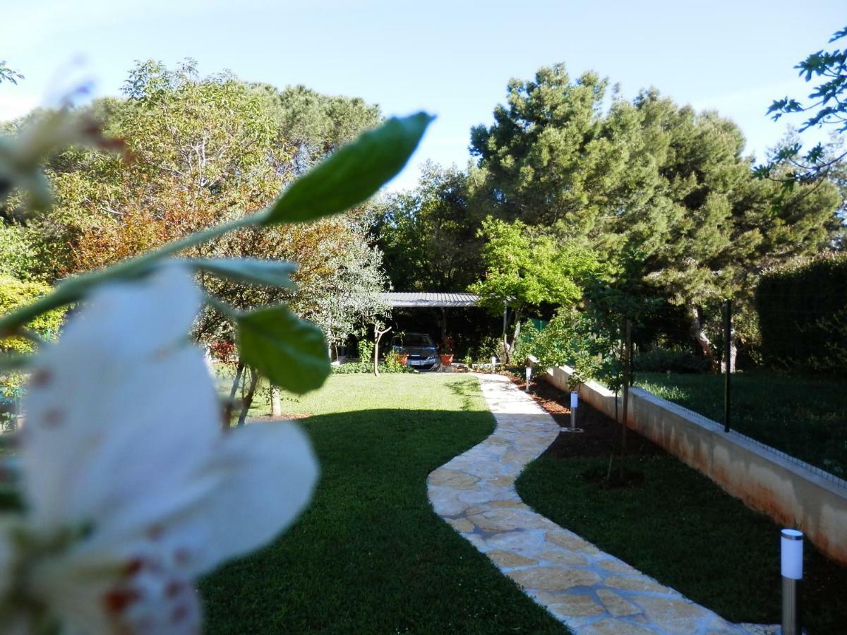 Luna Apartment Poreč Exterior foto